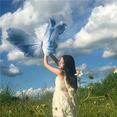 狸太怨海报