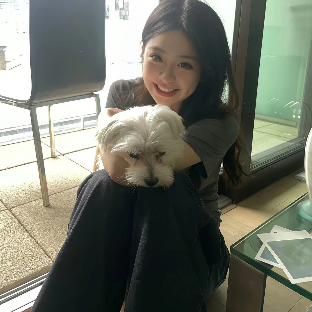 诺亚方舟漂流记2海报